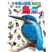 上田恵介 小学館の図鑑NEO〔新版〕 鳥 DVDつき DVDつき 恐竜の子孫たち ［BOOK+DVD］ Book | タワーレコード Yahoo!店