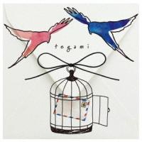 藤田麻衣子 手紙 〜愛するあなたへ〜 12cmCD Single | タワーレコード Yahoo!店