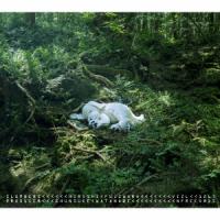 藤原ヒロシ slumbers (Deluxe Edition) ［CD+オマケ］＜生産限定盤＞ CD | タワーレコード Yahoo!店