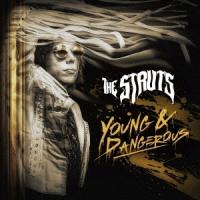 The Struts ヤング&amp;デンジャラス-ニュー・エディション CD | タワーレコード Yahoo!店