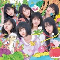 AKB48 サステナブル ［CD+DVD］＜通常盤/Type A＞ 12cmCD Single | タワーレコード Yahoo!店