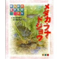 市川憲平 メダカ・フナ・ドジョウ 田んぼの生きものたち Book | タワーレコード Yahoo!店