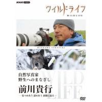 前川貴行 ワイルドライフ 自然写真家 野生へのまなざし 前川貴行 -見つめあう 認めあう 素顔に迫る- DVD | タワーレコード Yahoo!店