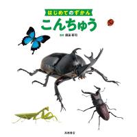 こんちゅう はじめてのずかん Book | タワーレコード Yahoo!店