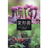 川上新一 変形菌 発見と観察を楽しむ大人の自然図鑑 Book | タワーレコード Yahoo!店