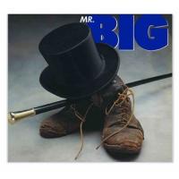 Mr. Big Mr. Big (日本語帯/ライナーノート付き) ［MQA-CD］ CD | タワーレコード Yahoo!店