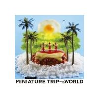 田中達也 MINIATURE TRIP AROUND THE WORLD Book | タワーレコード Yahoo!店