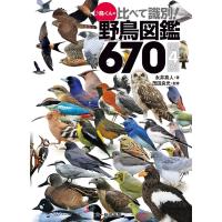 永井真人 ♪鳥くんの比べて識別!野鳥図鑑670 第4版 Book | タワーレコード Yahoo!店