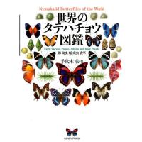 手代木求 世界のタテハチョウ図鑑 卵・幼虫・蛹・成虫・食草 Book | タワーレコード Yahoo!店