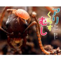 島田たく アリとくらすむし Book | タワーレコード Yahoo!店