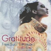 Various Artists Gratitude 〜 SUBURBIA meets ULTRA-VYBE ""Free Soul Treasure 1""＜限定生産盤＞ LP | タワーレコード Yahoo!店