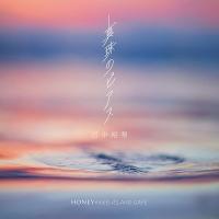 田中裕梨 真珠のピアス 7inch Single | タワーレコード Yahoo!店
