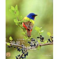 すずき莉萌 世界で一番美しい鳥図鑑 大空を舞い、木々に水辺に佇む ネイチャー・ミュージアム Book | タワーレコード Yahoo!店