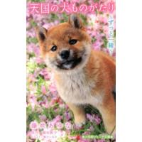 藤咲あゆな 天国の犬ものがたり〜ずっと一緒 小学館ジュニア文庫 Book | タワーレコード Yahoo!店