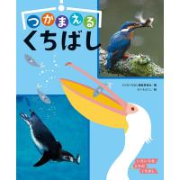 とりのくちばし編集委員会 つかまえるくちばし いろいろなとりのくちばし Book | タワーレコード Yahoo!店