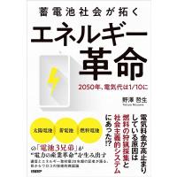 野澤哲生 蓄電池社会が拓くエネルギー革命 2050年、電気代は1/10に Book | タワーレコード Yahoo!店