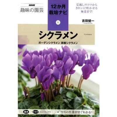 原種シクラメンコウムのおすすめ人気商品一覧 通販 - Yahoo!ショッピング