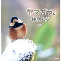 熊谷勝 ヤマガラと仲間たち Book | タワーレコード Yahoo!店