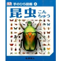 伊藤伸子 昆虫 手のひら図鑑 4 Book | タワーレコード Yahoo!店