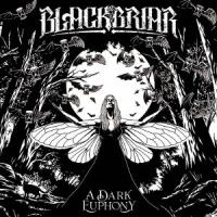 Blackbriar ア・ダーク・ユーフォニー CD | タワーレコード Yahoo!店