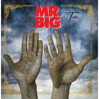 Mr. Big Ten (Japan Edition) ［MQA-CD］ CD ※特典あり | タワーレコード Yahoo!店