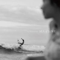 Various Artists SALT... meets ISLAND CAFE -Sea of Love- LP | タワーレコード Yahoo!店