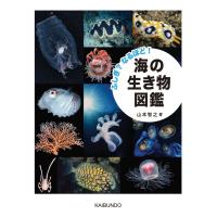 山本智之 ふしぎ?なるほど! 海の生き物図鑑 Book | タワーレコード Yahoo!店