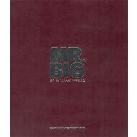 Mr. Big MR.BIG写真集 Book | タワーレコード Yahoo!店