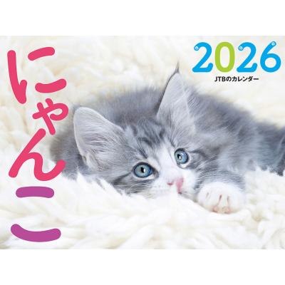 日めくりニャンコのおすすめ人気商品一覧 通販 - Yahoo!ショッピング