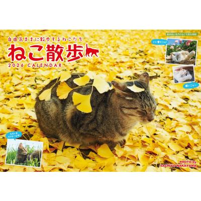 吉沢亮 グッズ（キッチン、日用品、文具）のおすすめ人気商品一覧 通販