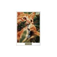 子猫物語 DVD | タワーレコード Yahoo!店