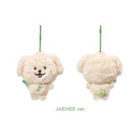 nct wish dollのおすすめ人気商品一覧 通販 - Yahoo!ショッピング
