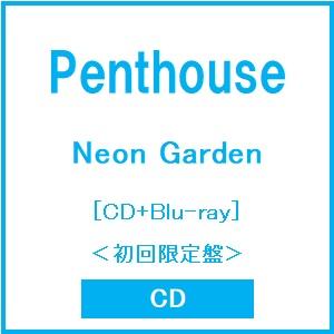 penthouse（CD、音楽ソフト）のおすすめ人気商品一覧 通販 - Yahoo