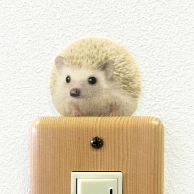 TOYO LABO - color カラー｜Yahoo!ショッピング