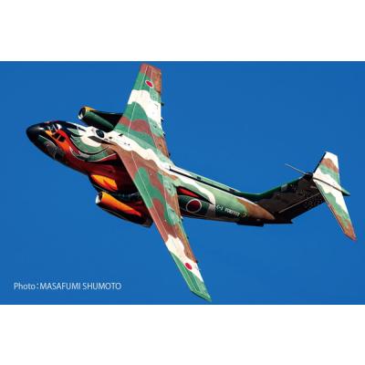 PLATZ 航空自衛隊戦術輸送機　C-11 レジン製 飛行機モデル PLATZ 航空自衛隊戦術輸送機 C-11 レジン製 飛行機モデル ☆特価