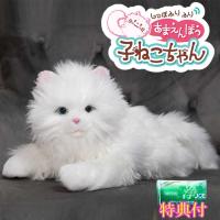 しっぽふりふり あまえんぼう 子ねこちゃん　洗剤ＪＯＥ３０ｇ特典付　デジレクト　あなたのパートナーシリーズ　音声認識ぬいぐるみ 子猫ちゃん | トライコレクション