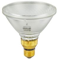 エルパ (ELPA) ハロゲンビームランプ散光 照明 電球 800lm 65W E26 EBRF110V65W | クロスタウンストア