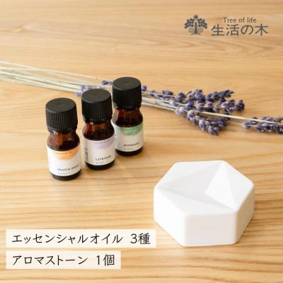 生活の木エッセンシャルオイルセットボックス付き 生活の木 アロマオイルセット+各種精油(エッセンシャルオイル