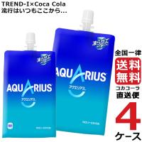 アクエリアス 300g ハンディーパック パウチ 4ケース × 30本 合計 120本 送料無料 コカコーラ 社直送 最安挑戦 | 流行はいつもここから TREND-I