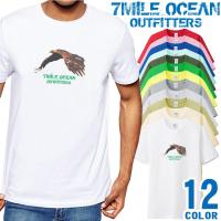 アメリカンイーグル American Eagle メンズtシャツ カットソー 通販 人気ランキング 価格 Com