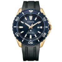 CITIZEN シチズン BN0196-01L | 腕時計トリニティートラスト