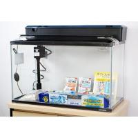 コトブキ　６０cmガラス水槽　観賞魚飼育５点セット・ＬＥＤライト仕様　送料無料　北海道・沖縄・離島、別途送料 | トロピカルワールド ヤフー店