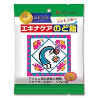 松浦薬業 エキナケア のど飴 52gノンシュガー 個包装 メントール バンランコン ハーブエキス配合 | TRstore