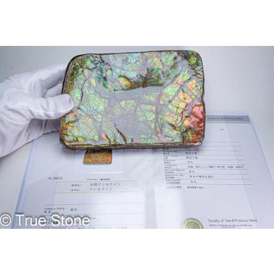 アンモライト ドラゴンスキンのおすすめ人気商品一覧 通販 - Yahoo