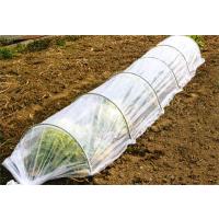 （ポイント5倍）第一ビニール おてがる君 ポリシート 90cm×2.1m×50cm 5個セット | 買援隊ヤフー店