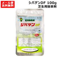 （P5倍）（クーポンで1000円OFF）（19日まで）石原バイオ シバゲンDF 100g 芝生用除草剤 | 買援隊ヤフー店