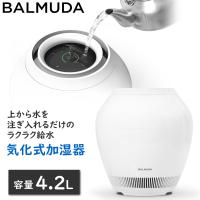 気化式加湿器 ERN-1100SD-WK バルミューダ Rain レイン ウイルス除去 丸洗いできる 給水容量約4.2L 加湿器 17畳まで ERN-1100SD | トライスリー