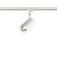 DSL-5395YWG LEDスポットライト 吹抜け・傾斜天井用 プラグ 30°集光 調光可能 電球色 12Vダイクロハロゲン50W相当 大光電機 照明器具 天井付・壁付兼用 | タカラShop Yahoo!店