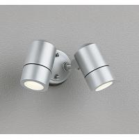 OG254565LR エクステリア LEDスポットライト 白熱灯50W×2灯相当 高演色R15 クラス2 電球色 非調光 オーデリック 照明器具 壁面・天井面取付兼用 | タカラShop Yahoo!店