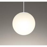 OP252594LR LEDペンダントライト R15高演色 クラス2 白熱灯器具100W相当 電球色 非調光 電気工事不要 オーデリック 照明器具 天井照明 吊下げ | タカラShop Yahoo!店